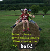 Obrázek